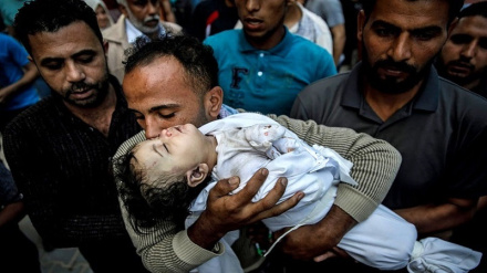 غزہ پر غاصب اسرائیل کی فوج کی جارحیت میں 3 ہزار فلسطینی شہید