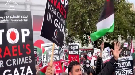 راهپیمایی های جهانی در حمایت از فلسطین