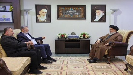 حسن نصر اللہ سے جہاد اسلامی اور حماس کے رہنماوں کی ملاقات، استقامتی محاذ کے اقدامات پرتبادلہ خیال