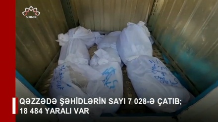 XƏBƏRLƏR  -  26-10-2023    -  (10:30)    -  Aparıcı:         F. BƏQAİ