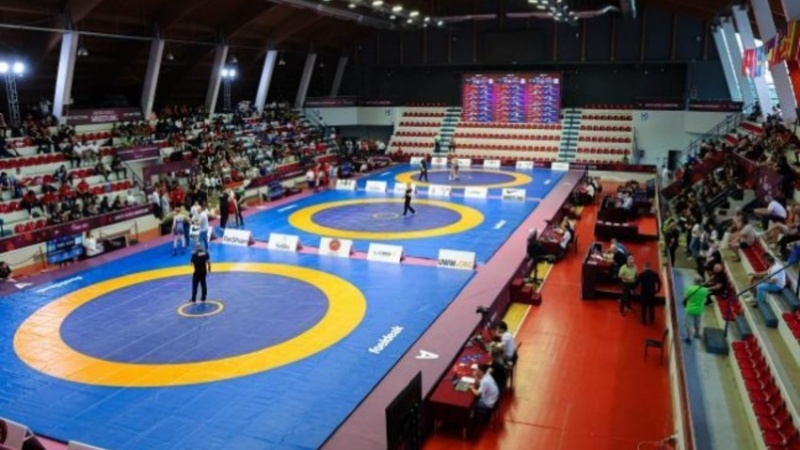 Azərbaycan güləşçiləri üçüncü olublar