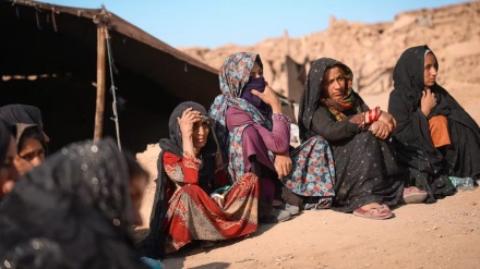 وضعیت زنان در هرات، بزرگترین چالش پس از زلزله
