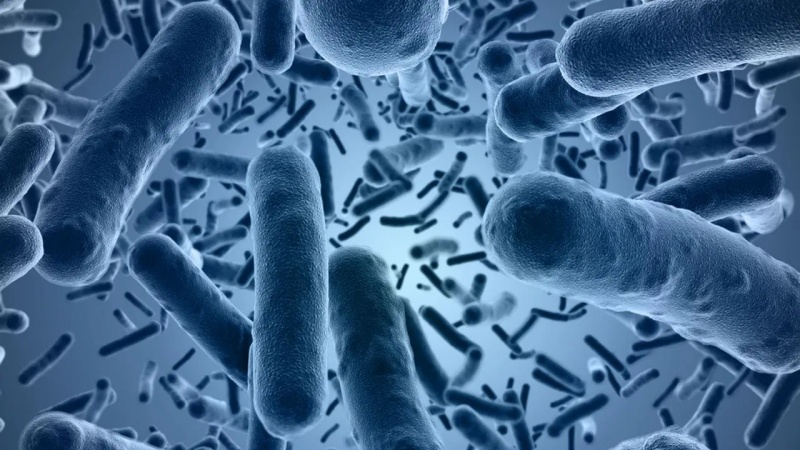 Êdî Bakterî bêyî hewcetiya bi Antîbiyotîkan tên jinavbirin