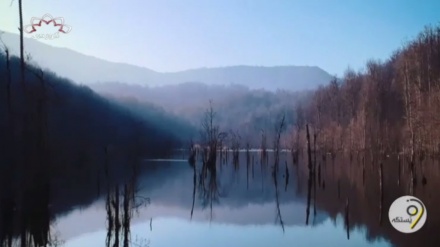 وێستگەی هاژەی دەروون