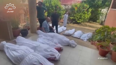 به شمول زنان و کودکان تا کنون ۱۵۵۰ فلسطینی به شهادت رسیده اند 