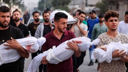 Numri i dëshmorëve në Gaza arriti në më shumë se 8000 persona