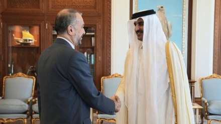 ایران کے وزیرخارجہ  کی قطر کے امیر سے فلسطین کی صورتحال پر گفتگو