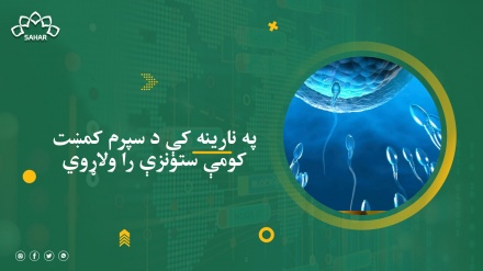 په نارینه کې د سپرم کمښت کومې ستونزې را ولاړوي