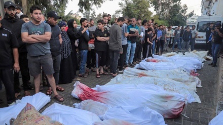 17-emîn roja bahoza Eqsayê/ Zêdetirî 400 şehîd di 25 komkujiyan de/gurrbûna nakokiyan di navbera rayedarên rejîma Îsraîlê