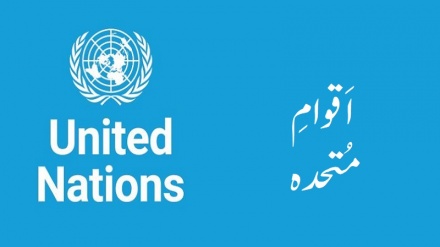 اقوام متحدہ کے سیکریٹری جنرل کے نام دنیا کی 298 اہم شخصیات کا خط، غزہ جنگ کے خاتمے کے لئے مداخلت کی اپیل