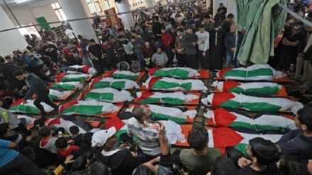 XƏBƏRLƏR  -  23-10-2023    -  (10:30)    -  Aparıcı:         D. NƏSİRİYAN