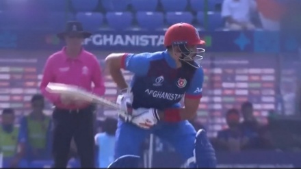 جام جهانی کریکت ۵۰ آوره ۲۰۲۳