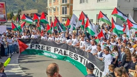 U Rožaju, Plavu i Gusinju skupovi podrške narodu Palestine