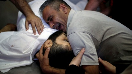 غزہ کے شہدا کی تعداد بڑھ کر 7703 ہوگئی