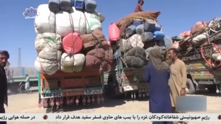 افغانستان کمکهای پاکستان به زلزله زدگان هرات را رد کرد