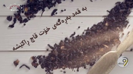 وێستگەی پەندی پێشینیان