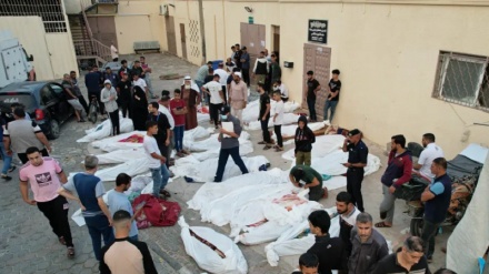 هەڵکشانی شەهیدەکانی غەززە بۆ ٨٣٠٦ کەس، ٣٤٥٧کەسیان منداڵن