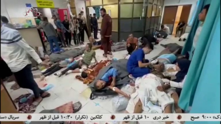 وضعیت فاجعه بار در شفاخانه الشفا غزه 