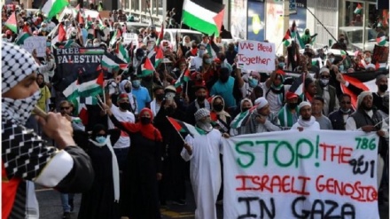فلسطینیوں کی نسل کشی پر دنیا بھر کی حکومتوں کی ڈرامائی خاموشی کے خلاف احتجاج