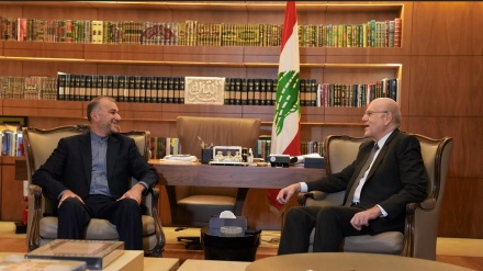 ایران کے وزیر خارجہ اور لبنان کے وزیراعظم کی ملاقات، غزہ کی تازہ صورتحال پر تبادلہ خیال(ویڈیو)