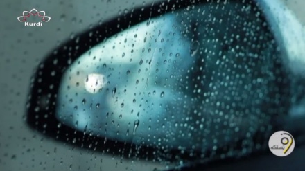  وێستگەی هاژەی دەروون