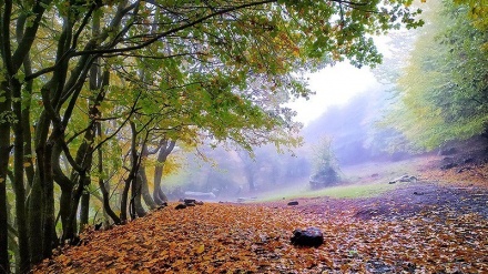 سروشتی جوانی پاییز لە ناوچەی ئەرەسباران