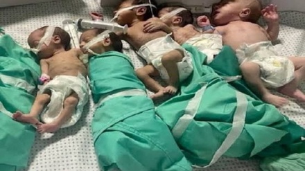 دامەزراوەیەکی مافی مرۆڤ: ژومارەی شەهیدانی غەززە گەیشتە ٢٠٠٣١ کەس