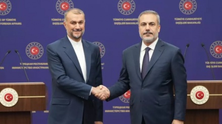 Əmir Abdullahian Türkiyəli həmkarı ilə mətbuat konfransı keçirdi