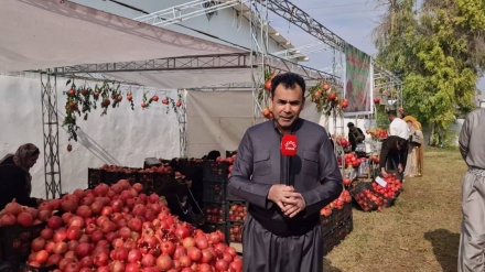 فستیڤاڵی ھەناری ھەڵەبجە