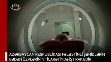 XƏBƏRLƏR  -  28-11-2023    -  (15:30)    -  Aparıcı:         D. NƏSİRİYAN