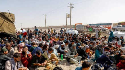 بازگشت ۲۲۰ هزار مهاجر افغان از پاکستان