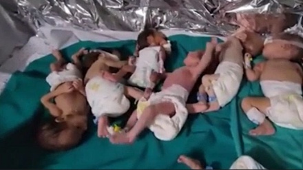 چوونەسەری ڕێژەی شەهیدانی فەلەستینی بۆ زۆرتر لە یازدە هەزار کەس