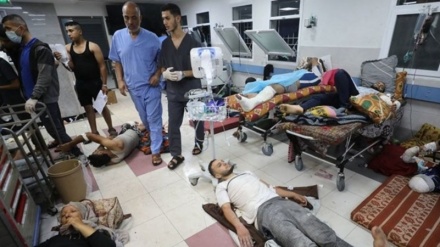 گەیشتنی هەژماری شەهیدانی غەززە بە 10 هەزار و 328 کەس