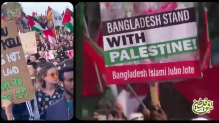 Dünyada baş verən etirazların 95%-dən çoxü Fələstinə dəstək üçün keçrilib