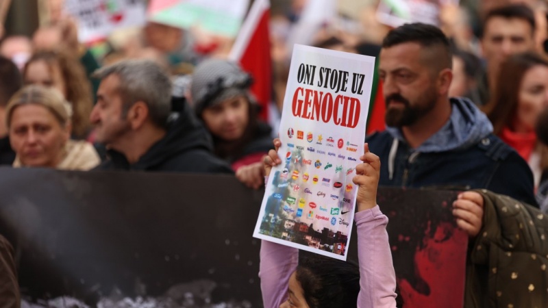 Skupovi podrške Palestini u Sarajevu, Podgorici, Beogradu