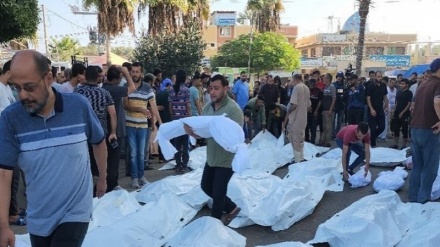 غزہ میں شہید ہونے والے فلسطینیوں کی تعداد 10 ہزار تین سو سے زیادہ ہوگئی