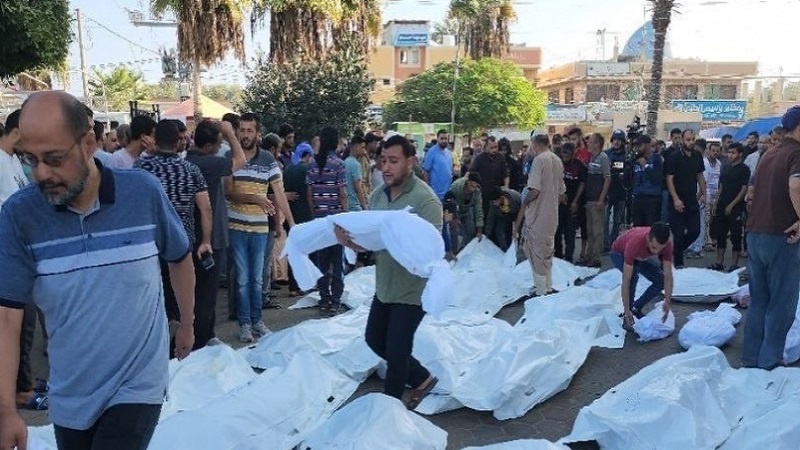 غزہ میں شہید ہونے والے فلسطینیوں کی تعداد 10 ہزار تین سو سے زیادہ ہوگئی