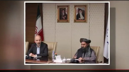 دیدار ملا عبدالغنی برادر با وزیر انرژی ایران