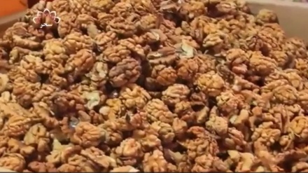 کاهش صادرات میوه خشک از افغانستان 