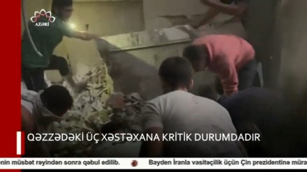 XƏBƏRLƏR  -  17-11-2023    -  (10:30)    -  Aparıcı:          F. BƏQAİ