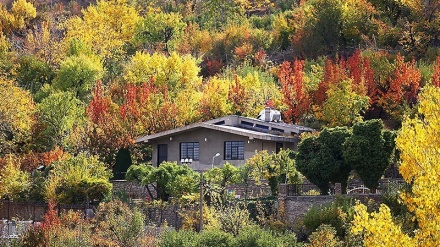 ہمدان میں موسم خزاں کے خوبصورت مناظر 