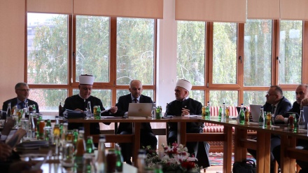 Vijeće muftija Islamske zajednice u BiH pozvalo na hitni prekid rata u Gazi