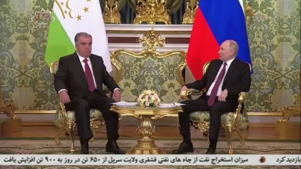 گفتگوی روسای جمهور روسیه و تاجیکستان در مورد افغانستان 