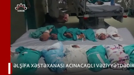 XƏBƏRLƏR  -  12-11-2023    -  (15:30)    -  Aparıcı:          D. NƏSİRİYAN