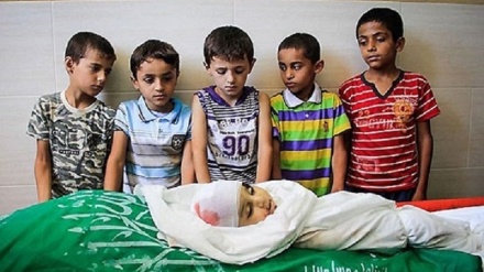 منداڵ کوشتن بەبەرچاوی چاوی خەڵکی جیهانەوە