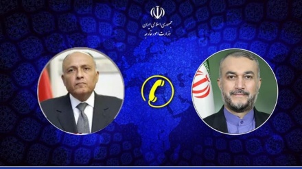 فلسطین کی تازہ ترین صورتحال پر ایران اور مصر کے وزرائے خارجہ کی گفتگو