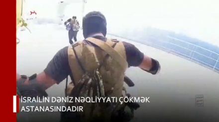 XƏBƏRLƏR  -  27-11-2023    -  (10:30)    -   Aparıcı:   D. NƏSİRİYAN