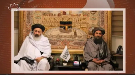 دیدار ملا عبدالغنی برادر از سفارت افغانستان در تهران