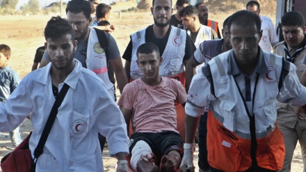 عالمی ادارہ صحت: شفا ہسپتال سے مریضوں کو جنوبی غزہ کے ہسپتالوں میں منتقل کیا جائےگا