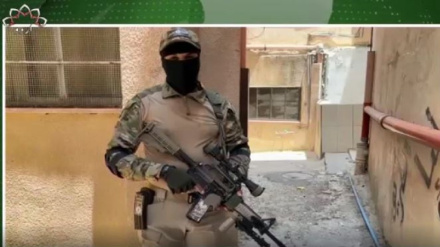  دوسرا بلیٹن،اتوار26 نومبر 
